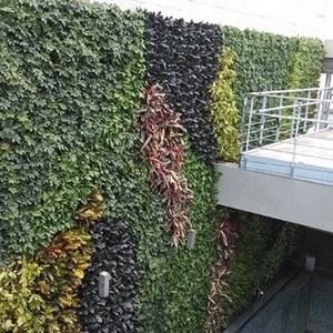 Jardinera Vertical para Pared, Equipo de Hidroponía de Fieltro, Pared Verde Modular - Product Image 6