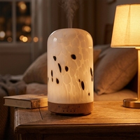 Diffuseur d'arômes électrique en verre, humidificateur d'air, lumière de nuit LED écologique, utilisation hôtelière et domestique, compatible français, 101-200 ml
