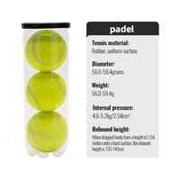 Ballon de tennis gonflable géant WELSTAR 9,5'' durable, imprimé sur mesure pour le jeu des chiens – Meilleure vente