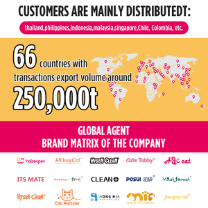 Ventas directas <span class=keywords><strong>de</strong></span> fábrica <span class=keywords><strong>Arena</strong></span> <span class=keywords><strong>De</strong></span> Gatos <span class=keywords><strong>Arena</strong></span> <span class=keywords><strong>de</strong></span> gato <span class=keywords><strong>de</strong></span> yuca - Product Image 5