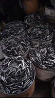 2024 nouvelles pinces polyvalentes pour bons outils de haute qualité