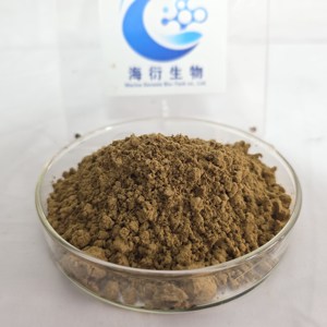 天然有機野生桑の葉ハーブエキス粉末 10:1 健康食品グレード 人工添加物・充填剤不使用 ドラム包装 - Product Image 3