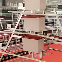 Nouveau système de cages automatiques pour poules pondeuses de type A, cage commerciale pour 96-160 poules, gain de place
