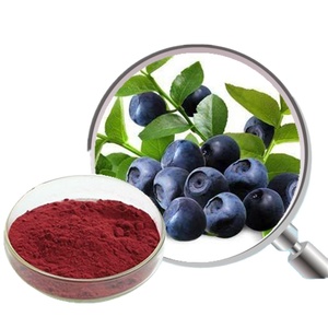 Exw giá khô <span class=keywords><strong>Blueberry</strong></span> chiết xuất từ quả vitamin P <span class=keywords><strong>15</strong></span>% anthocyanin bột - Product Image 1