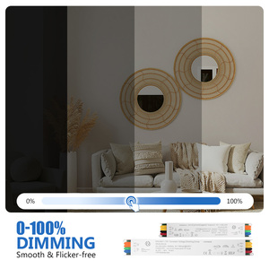 Fuente de Alimentación LED DALI+Push+0/1-10V, 24V 60W-350W, Controlador LED de Voltaje Constante para Interiores, 3 Años de Garantía - Product Image 6