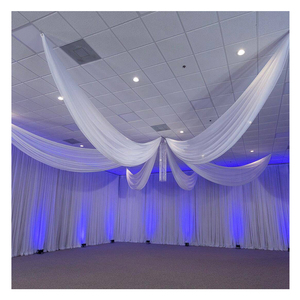 Cortinas transparentes de poliéster clásicas de lujo, cortinas de techo de Hotel tejidas, fondos de boda, diseño de patrón para ventana, uso hospitalario - Product Image 1