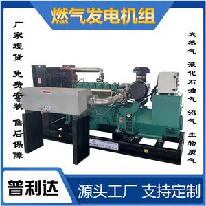 Grupo Electrógeno de Metanol Personalizado de 250KW, Motor a Gasolina de 400V, Amarillo, Ahorro de Energía, Uso Industrial - Product Image 2
