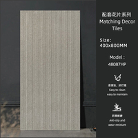 Carrelage mural et de sol en porcelaine aspect pierre mate 400x800 mm avec carreaux décoratifs assortis