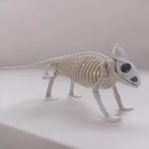 Crâne d'animal Ghost House Chamber SKD13 New Resin Crafts Ornament for Party Decoration - Product Image 3