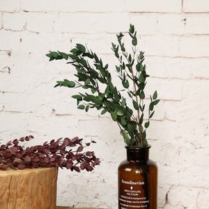 Kurutulmuş okaliptüs yaprakları çiçekler korunmuş okaliptüs çiçek dekorları düğün tasarım için ebedi çiçek bırakır - Product Image 4