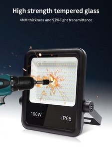 Projecteur LED AC/DC pour Jardin Extérieur et Couloir, 30 Watts, Haute Luminosité, IP65, Certifié CE, avec Angles de Faisceau Multiples - Product Image 2