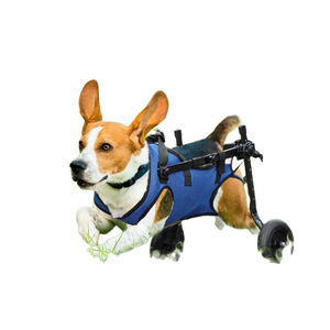 Chariot pliable réglable pour chiens/fauteuil roulant pour jambes arrière pour usage médical ou chiens handicapés aidant à la récupération des membres postérieurs - Product Image 5