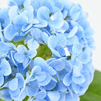 Fleur artificielle d'hortensia effet toucher réel, 62 cm, pour décoration de mariage, photographie, bouquet de mariée, fête, décoration vintage pour la maison