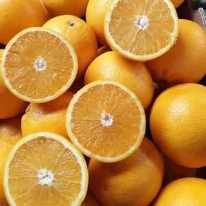 Naranjas Frescas Dulces y Jugosas, Naranjas Navel <span class=keywords><strong>de</strong></span> 70-85mm, Calidad <span class=keywords><strong>de</strong></span> Exportación, en Caja para Venta al Por Mayor - Product Image 4