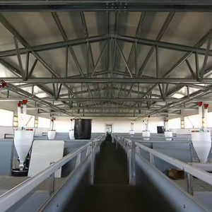 Poulailler industriel pour 10 000 poulets de chair, cages à poules pondeuses, conception de ferme avicole, structures en acier - Product Image 5