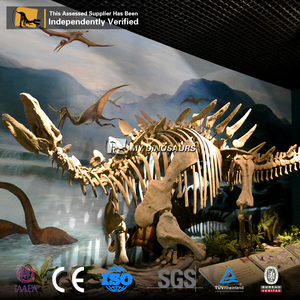 My Dino DS014 Dinosaur Museum Display Fiberglass Dinosaur <strong>Skeleton</strong> of <strong>Stegosaurus</strong> - Product Image 5