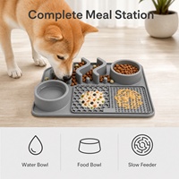 Nouvelle gamelle multifonctionnelle portable en silicone pour animaux de compagnie, gamelle pour chien et chat, étanche, pliable, pour une alimentation lente et solide