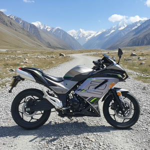 Motocicleta Kawasaki Ninja <span class=keywords><strong>H2</strong></span> de 1000cc, 4 Cilindros en Línea, Refrigerada por Líquido, Supercargada, Hiperdeportiva, Fabricada en China - Product Image 6