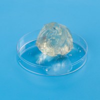 Poudre de gélatine comestible halal de qualité alimentaire pour les bonbons, les gelées, les guimauves et les produits de confiserie