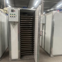 Fabrikant van kleine elektrische fruit- en groente-droogmachines voor de voedselverwerking