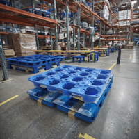 12/16 5 gallons bouteille en plastique potable palette en plastique hdpe euro palette en plastique 1100X1100X120 1100X830X150 pour bouteille d'eau