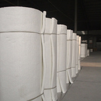 Isolation en laine céramique de qualité HAZ SUNTHERM pour revêtements de fours industriels, épaisseur 50 mm, composition haute en aluminium et zirconium