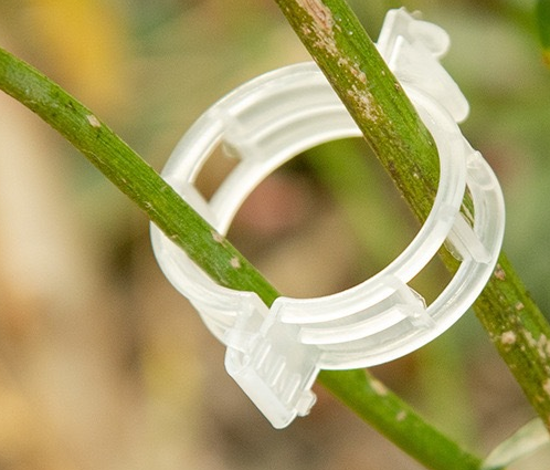 Greenhouse Plant Clips Tomato Clips Plastic Plant Clip for Climbing Plant Agriculture Accessories