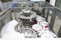 Ligne de production de machines de remplissage à chaud entièrement automatique pour boissons aromatisées, jus de fruits, boissons, 330 ml, 500 ml