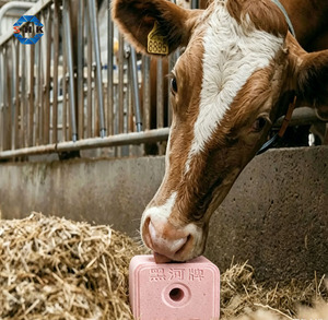 Bloque de Sal Mineral Medicada para Animales, Bloques de Sal para Ganado, Cabras, Ovejas y Vacas, Minerales de Grado Alimenticio, Oligoelementos Promotores - Product Image 1