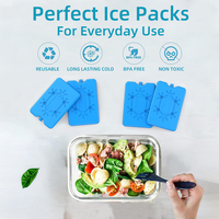 Brique de glace réutilisable et rechargeable non toxique de 200 ml pour sacs/boîtes à lunch, sacs à dos isothermes, blocs de glace pour le camping