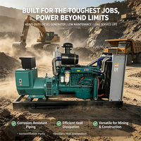 Générateur 400 kVA, moteur Stamford, triphasé 380 V, générateur diesel, générateur diesel économique