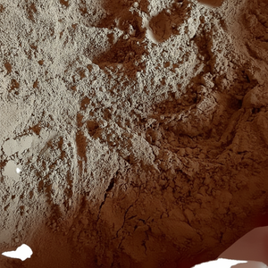 PRODUCTO DE ALTA CALIDAD POLVO JOSS VENDO DE VIET NAM/ - Product Image 1