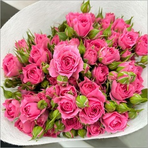 Ramo de Rosas Largas Multicabeza con Base de Burbujas para <span class=keywords><strong>el</strong></span> Día de la Madre, Venta al por Mayor, Compra en Grupo, Suministro de Kunming, Yunnan - Product Image 2