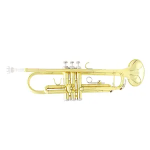 Factory Direct sales Brass Gold/Silver professional playing trumpet BB foam box three-tone trumpet