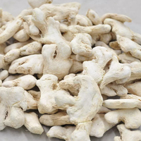 Chine Usine Prix de gros Légumes secs Gingembre cru sec Gingembre