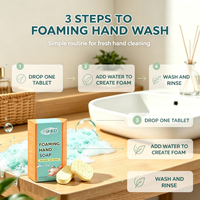 Tablettes de savon pour les mains concentrées OEM, tablettes de savon moussant effervescentes pour un nettoyage en profondeur quotidien