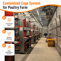 Cage à poules à batterie de type H à 8 niveaux superposés pour ferme avicole, capacité 22000 poules, solution agricole personnalisée, structure robuste en acier