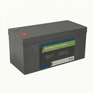 12v 100a 100ah 150a 150ah 300a 300ah Bms Lifepo4 Battery - Product Image 1
