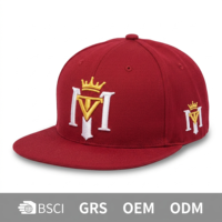 Casquette Snapback 6 Panneaux Broderie 3D Luxe Hip Hop Sport Design Fabricant Professionnel de Casquettes de Baseball Personnalisées