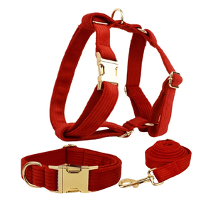 Collier et laisse pour chien en velours côtelé, design classique PUPE, accessoires pour chiot, harnais de promenade, ensemble personnalisable avec logo, vente en gros - Product Image 6