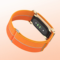 Bracelet en nylon pour Fitbit Air, avec boîtier métallique mobile, respirant et léger comme une plume, pour le sport, le quotidien et les activités de plein air, vente en gros, remplacement