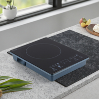 Table de cuisson à induction portable 2800W, commande tactile, panneau en cristal, usage domestique et commercial