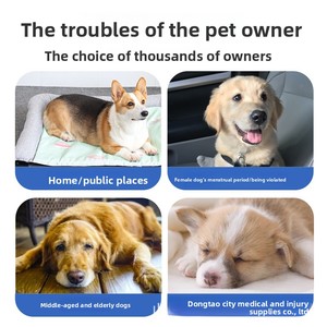 Pannolini per cani, traverse assorbenti per incontinenza animale, traspiranti, usa e getta, in tessuto non tessuto, con polimero super assorbente per mestruazioni - Product Image 3