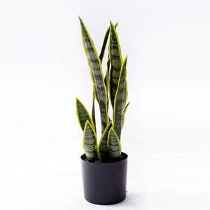 Plantas de imitación falsas con maceta de plástico negro, planta de serpiente Artificial, para el hogar <span class=keywords><strong>Sansevieria</strong></span>, oficina, decoración interior y exterior - Product Image 4