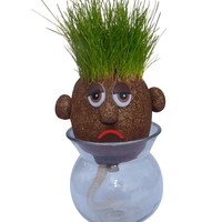 Kit DIY Hydroponique : Tête de Poupée pour Plantation de Graines d'Herbe à Chat, Petite Plante Verte en Pot