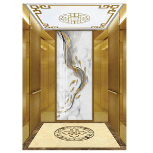 ईंधन जी स्टेनलेस स्टील यात्री लिफ्ट 800 किलोग्राम क्षमता आउटडोर होटल लिफ्ट, मॉल के लिए लिफ्ट कंपनियों द्वारा सर्वोत्तम मूल्य का उपयोग किया जाता है - Product Image 3