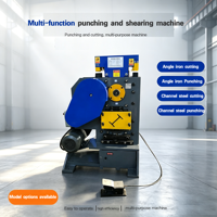 Machine multifonctionnelle de découpe, de cisaillement et de poinçonnage pour le fer, l'acier et le métal, moteur électrique 380V 4kW, force de 900kN, garantie 1 an