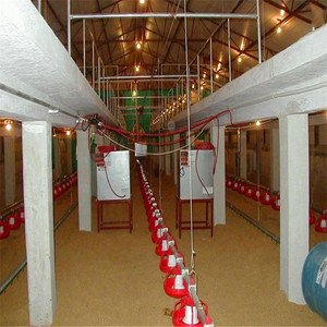 Allevamenti di Polli Prefabbricati in Acciaio dalla Cina, Capannone per Pollame per 5000 Galline - Product Image 5