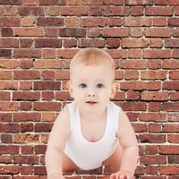 Mur de briques rouges toile de fond brique photographie toile de fond fête d'anniversaire Graduation décoration de la maison fond Photo stand Studio accessoire