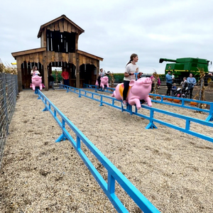 Course de cochon à propulsion humaine avec piste pour parcs d'attractions extérieurs, terrains de jeux familiaux et zones de divertissement - Product Image 1